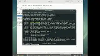¿Como instalar MariaDB en Debian 9 Stretch?