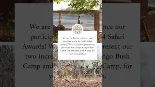 🙌 Please copy this link to vote for our  Camps: https://thesafariawards.com/ #southluangwa #wild