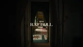 MAD SOUNDS 15 - RAY BULL
