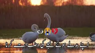 Yad aaon to bas itni si inayat krna.best poetry lines.