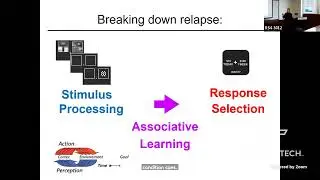 Adolescent Alcohol, Behavioral Flexibility, and Excitatory:Inhibitory Balance in Control Circuitry