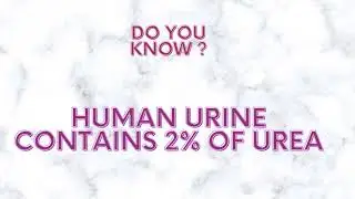 A small fact about human urine!