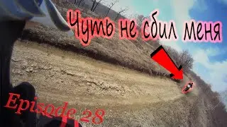 Меня чуть не сбили в лесу
