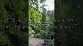 #психология #мышление