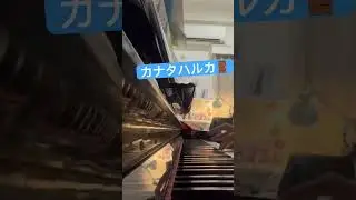 カナタハルカ on piano!  #すずめの戸締まり
