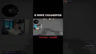 В МИРЕ СИЛЬВЕРОВ 