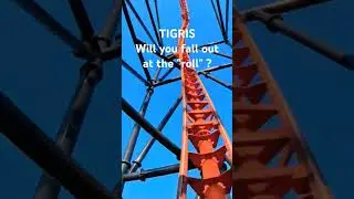 Tigris (Florida's tallest launch coaster) POV #buschgardens #themepark #tigris