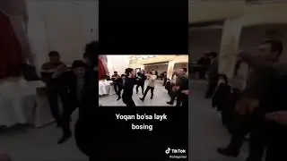 tòyda ELBEKDAN yangisi
