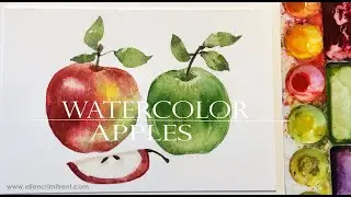 Watercolor Apple  Tutorial for Beginners/ Watercolor Techniques in Real time 