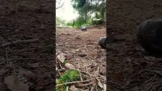 RC Car
