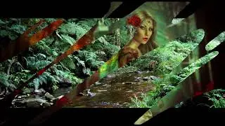 SACRIFICE HARP COVER BY ELISIA E