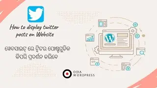 How to display twitter posts & twitter timeline on Website