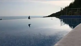 24 ноября 2019 г.