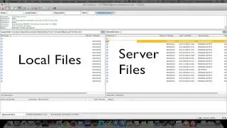 Backup WordPress Files with FTP