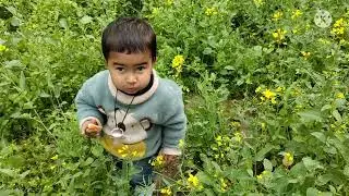 Noor cat dekh rehi💗Noor ka papa na lay Rabbit 🐰#baby #funny