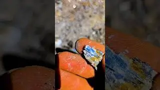 BLUE Kyanite Crystals of Massachusetts #shorts