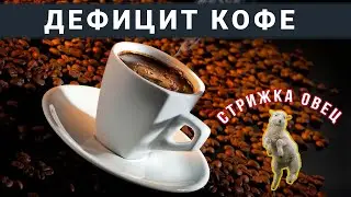 Россия без сайры / В Бразилии неурожай кофе / Крым лидирует по стрижке овец