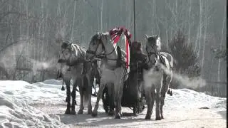 Футаж Русская масленица Конный клуб Аллюр    001116