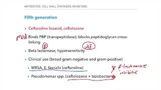 Cell wall synthesis inhibitors - USMLE and COMLEX review