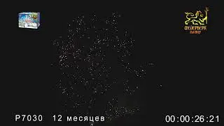 Салют 12 месяцев, 51 залп