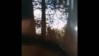 XXXTENTACION - Leave