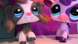 ★ LPS ~ Popular ★ - 6