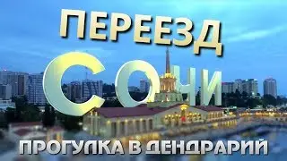 Переезд в Сочи | Прогулка в Дендрарий | Природа в Сочи