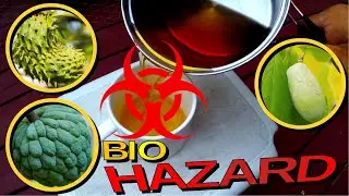 Toxicity of Soursop, Sweetsop and Pawpaw