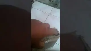 Unboxing modul tcl23d10