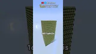 Bu Minecraft Sunucusundan 500TL Kazandım!?💛💎