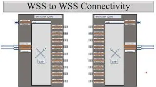 Physical Connectivity between Ciena WSS (1x9) and WSS (1x9)in Signal Flow of DWDM/CDC