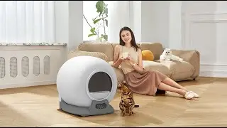 CATBOT 스마트 화장실