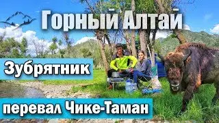 VLOG! Зубрятник и перевал Чике-Таман, пикник