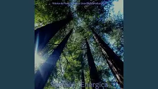 Musica de Fondo - Hermoso