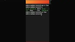 Linux File Descriptor 