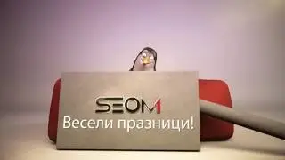 SEOM 2017
