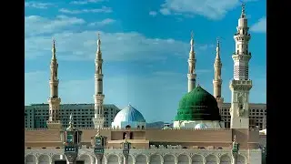 Madina Tuzugi böyiça savollarga javoblar