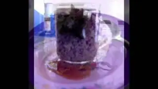 Wieteke Van Dort - Geef Mij Maar Nasi Goreng