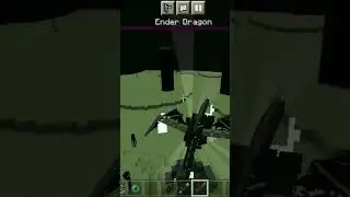 The end of ender dragon !