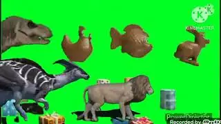 Animal Stampede Green Screen Kinemaster
