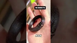 It looks like a bracelet, but it's actually a Mexican black king snake 