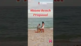 Miami Beach suprised proposal photographer Tel: +1 5167215385