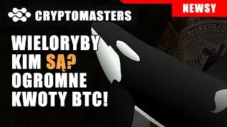 KIM SĄ WIELORYBY BTC? ILE ŚRODKÓW POSIADAJĄ?