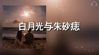 【白月光与朱砂痣】大籽 歌詞 (日本語訳pinyin)
