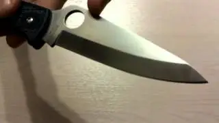 Spyderco Endura ZDP-189
