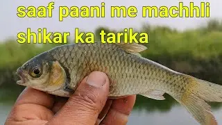 साफ पानी में मछली का शिकार ऐसे कीजिए || Sundar bihar