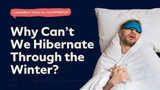 Why Can’t We Hibernate Through the Winter? | I Learned a Thing in the Bathroom Podcast