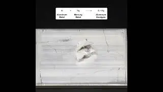Mercury react with aluminium (aluminium amalgam)