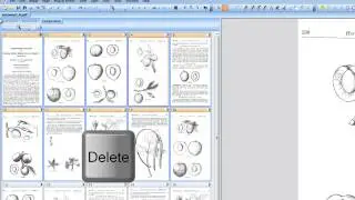 06 How to delete pages and images from a TIF or PDF in PixEdit document imaging program.