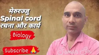 मेरुरज्जु : Spinal cord रचना और कार्य